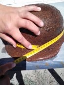 Lenovo_A1000_IMG_20160827_124831.jpg