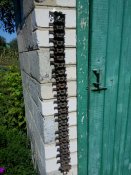 IMG_20160827_132231.jpg
