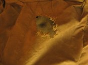 IMG_3863.jpg