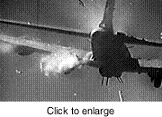 yhst-76576110208148_1826_14054647[1].gif