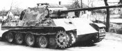 pantherG.10.jpg