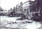 Wanze_05.jpg