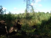 DSC01315 (Small).JPG