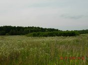 яяя 957.jpg