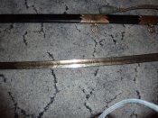 P1020120.JPG
