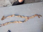 IMG_20160827_151611198.jpg