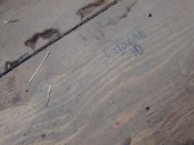 IMG_20160827_153122339.jpg