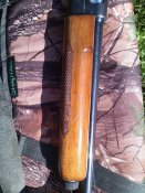 IMG_20160828_091517.jpg