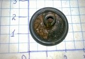 WP_20160828_034.jpg
