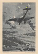 176-4.jpg