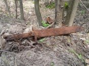 20160424_105054.jpg