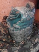 IMG_20160829_165724.jpg
