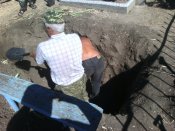 IMG_20160829_104751.jpg