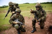 Оригинальные тактические перчатки используемые в ВС Великобритании Gloves Combat Warm Weather/10 пар