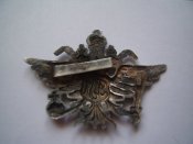 SSA41589_оброб.jpg