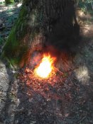 IMG_2016-08-28_165024.jpg