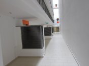 IMG_8788.JPG