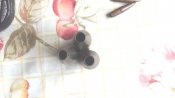 DSC01180.JPG