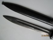IMG_5004.jpg