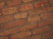 IMG_6535.JPG