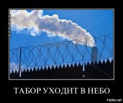 353b1ef9f727ace551d8e49ecca2c036.jpg