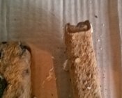 WP_20160831_034.jpg