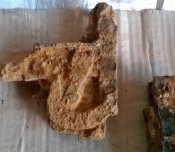 WP_20160831_024.jpg
