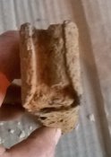 WP_20160831_026.jpg
