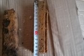 WP_20160831_028.jpg