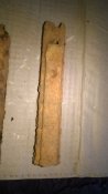 WP_20160831_030.jpg