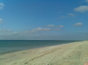 IMG_20160826_090703.jpg