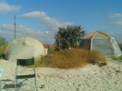 IMG_20160826_090752.jpg