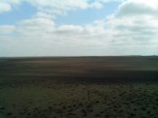 IMG_20160826_100532.jpg