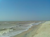 IMG_20160828_093015.jpg