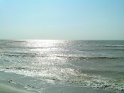 IMG_20160828_093030.jpg