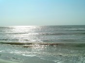 IMG_20160828_093032.jpg