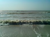 IMG_20160828_093150.jpg