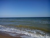 IMG_20150916_151031.jpg