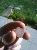 IMG_20160827_090536.jpg