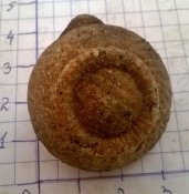 WP_20160901_002.jpg
