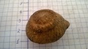 WP_20160901_003.jpg