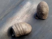 IMG_20160901_125237.jpg