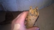 WP_20160901_029.jpg
