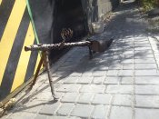 DSC01100.jpg