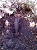 21032011120.jpg