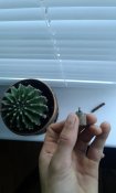 20160901_190115.jpg