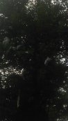 14232389_106216_n.jpg
