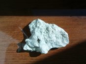 DSC04249.JPG