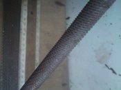 DSC07513.JPG