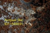 x_367177f3.jpg